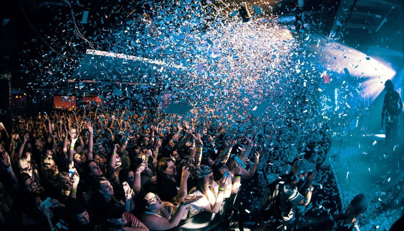 Live Performances